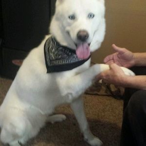 Meet your Posher, Michele